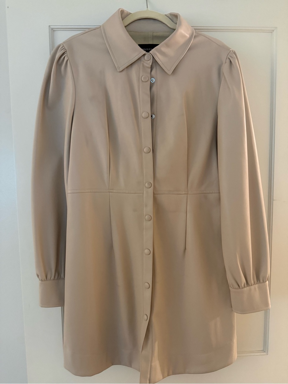 Dolce Cabo Leather Dress
